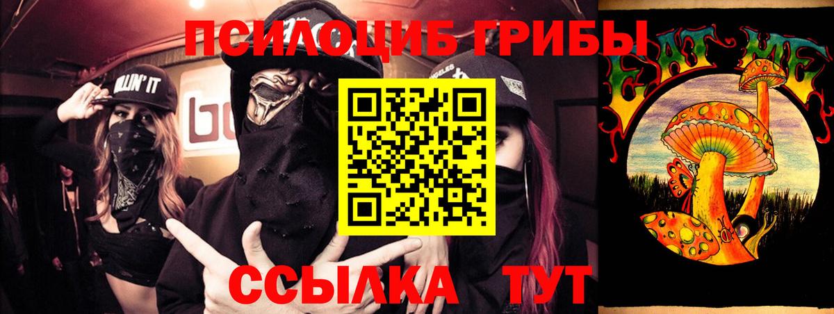 Псилоцибиновые грибы прущие грибы Чехов